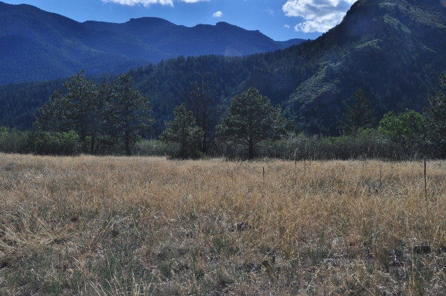 Bear Creek Park trail